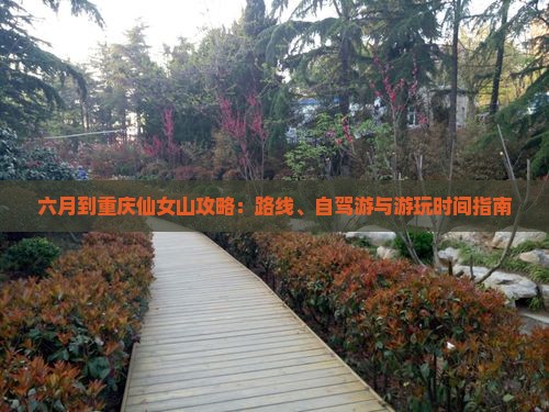 六月到重庆仙女山攻略：路线、自驾游与游玩时间指南
