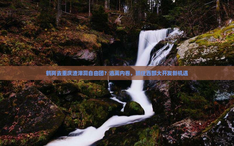 鹤岗去重庆渣滓洞自由团？逃离内卷，抓住西部大开发新机遇