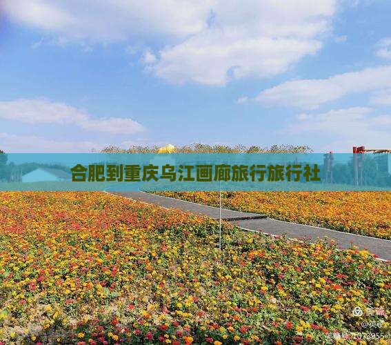 合肥到重庆乌江画廊旅行旅行社