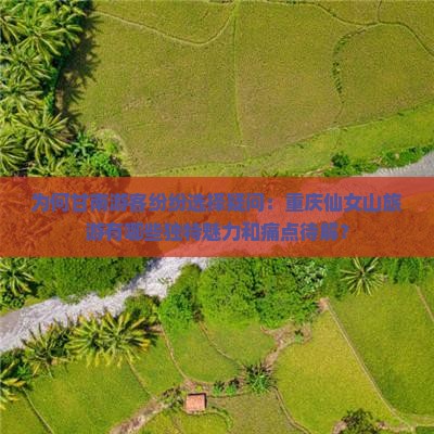 为何甘南游客纷纷选择疑问：重庆仙女山旅游有哪些独特魅力和痛点待解？