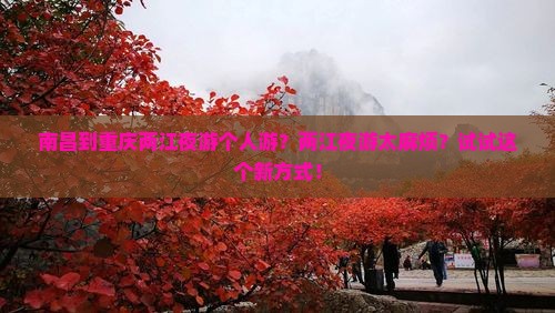 南昌到重庆两江夜游个人游？两江夜游太麻烦？试试这个新方式！