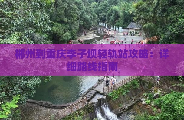 郴州到重庆李子坝轻轨站攻略：详细路线指南