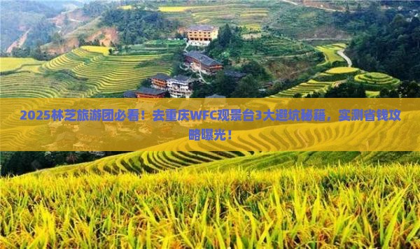 林芝去重庆wfc观景台大型旅游团