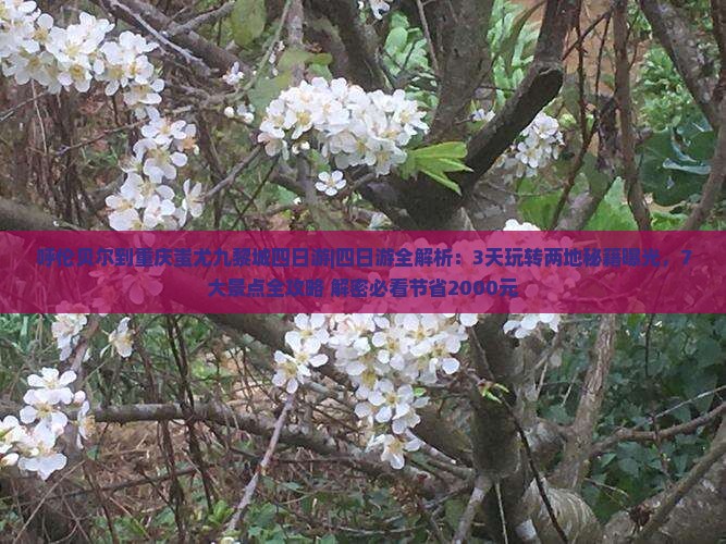 呼伦贝尔到重庆蚩尤九黎城四日游