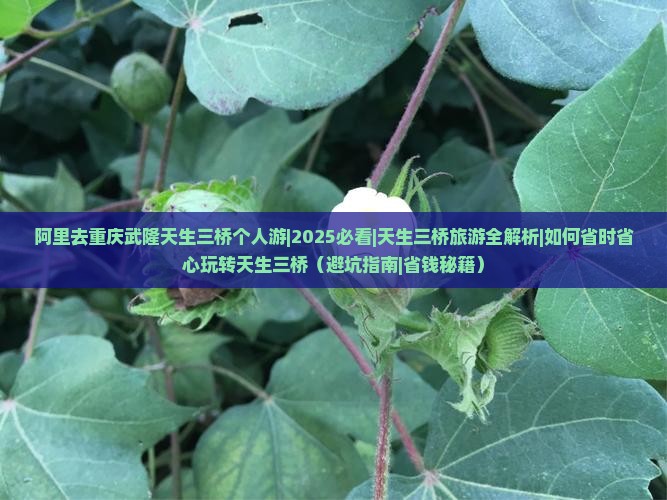 阿里去重庆武隆天生三桥个人游