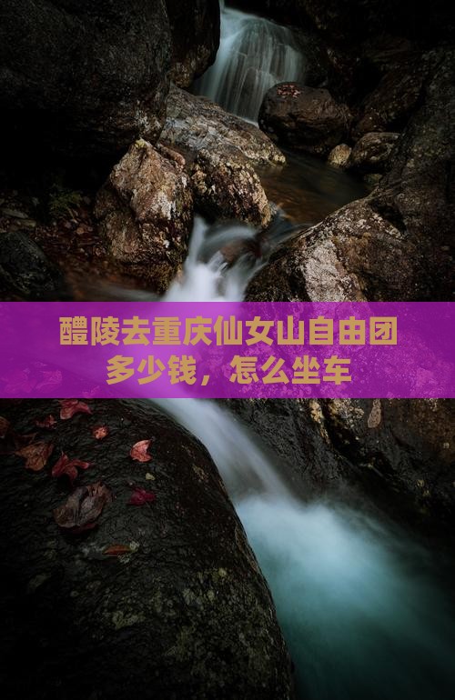 醴陵去重庆仙女山自由团