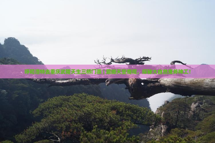 呼和浩特去重庆武隆天生三桥门票
