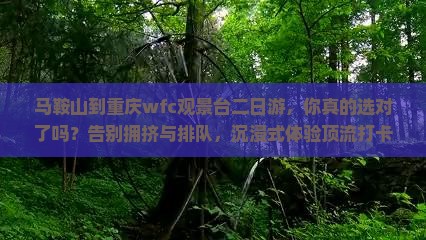 马鞍山到重庆wfc观景台二日游