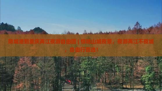 防城港到重庆两江夜游自由团