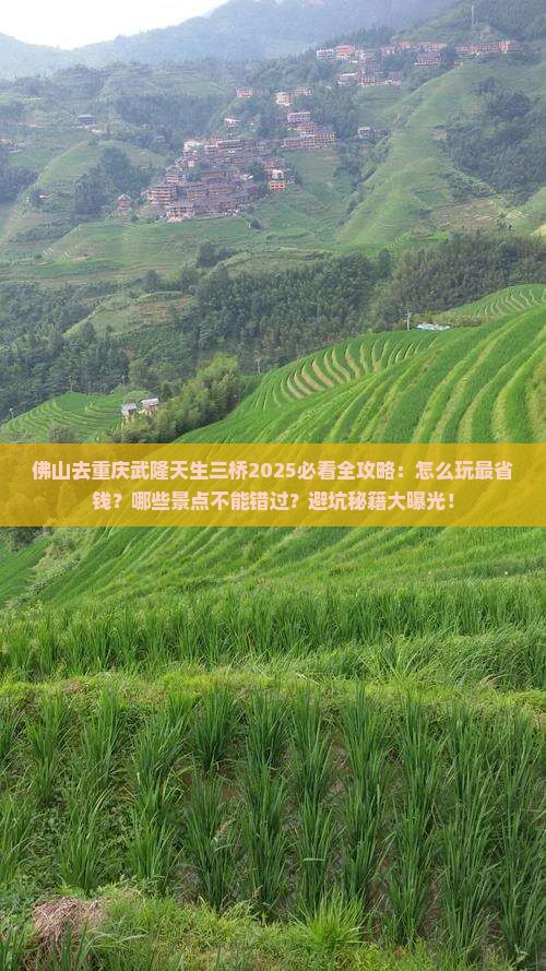 佛山去重庆武隆天生三桥哪里玩