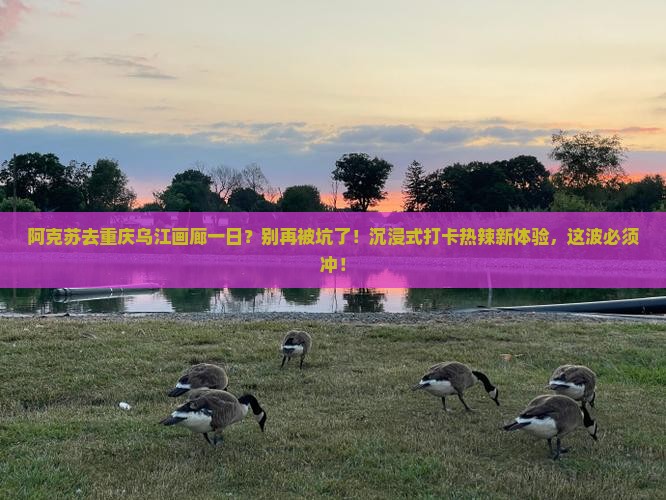 阿克苏去重庆乌江画廊一日