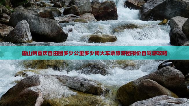 唐山到重庆自由团