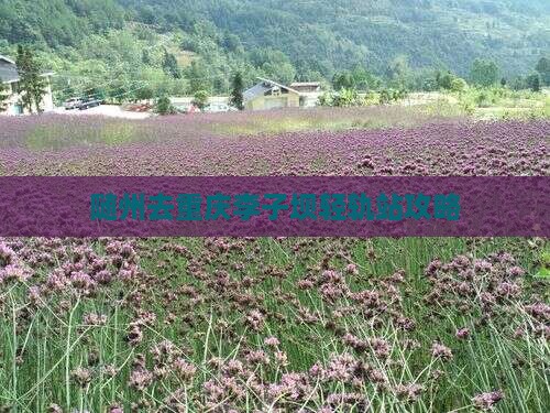 随州去重庆李子坝轻轨站攻略