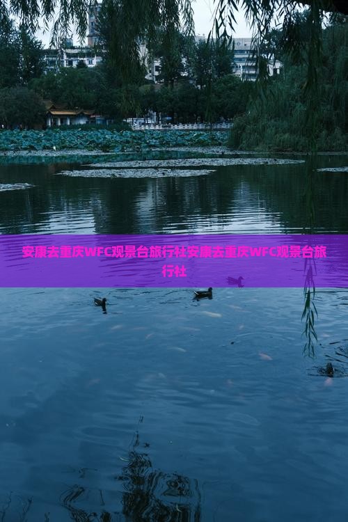 安康去重庆wfc观景台旅行社