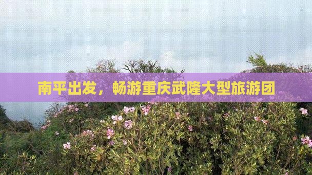 南平去重庆武隆大型旅游团