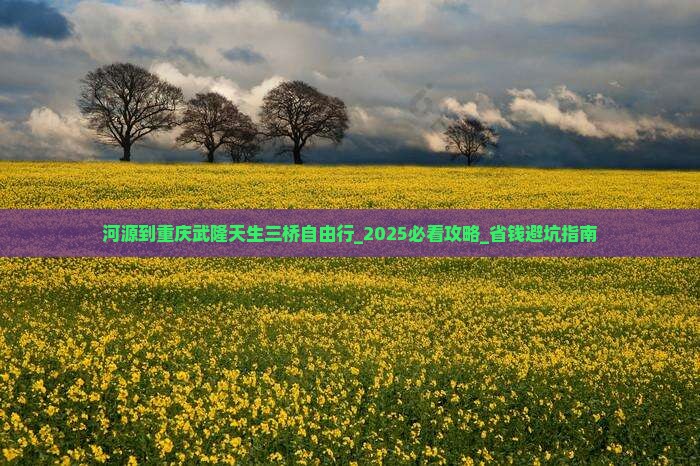 河源到重庆武隆天生三桥自由行