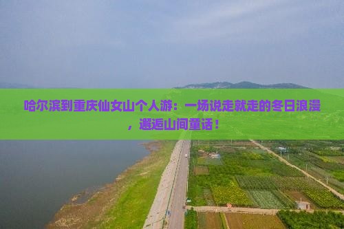 哈尔滨到重庆仙女山个人游