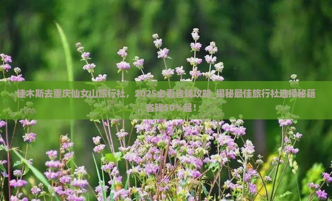 佳木斯去重庆仙女山旅行社