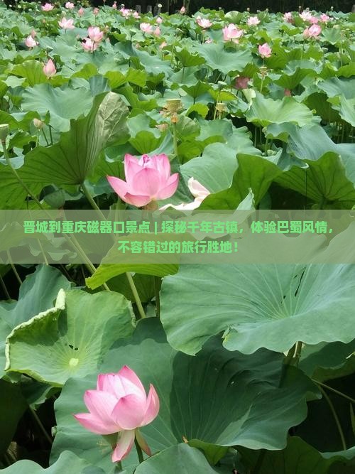 晋城到重庆磁器口景点