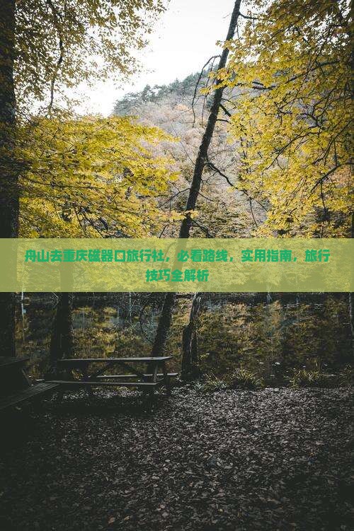 舟山去重庆磁器口旅行社