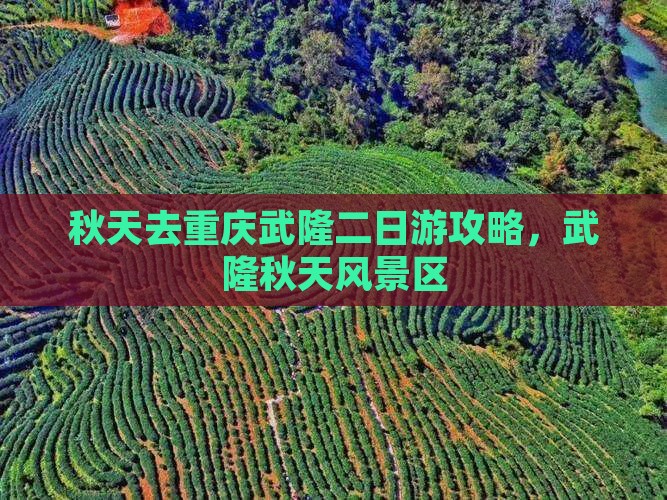 秋天去重庆武隆二日游