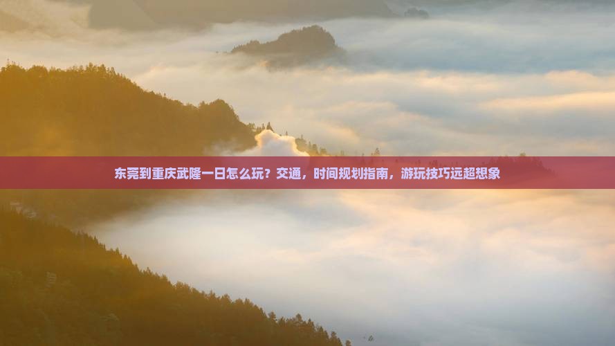 东莞到重庆武隆一日