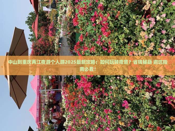 中山到重庆两江夜游个人游
