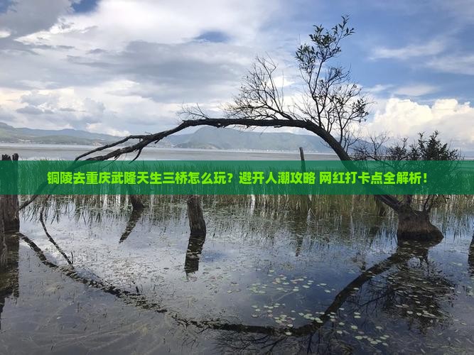 铜陵去重庆武隆天生三桥哪里玩