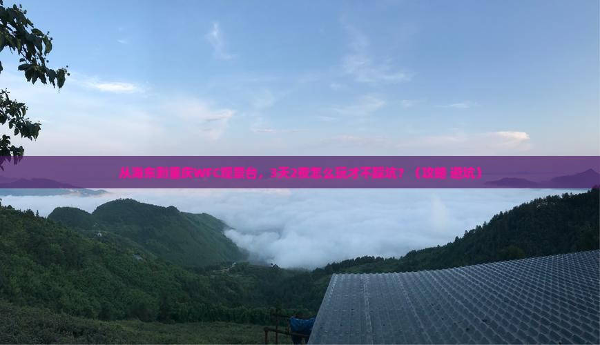 海东到重庆wfc观景台旅行社