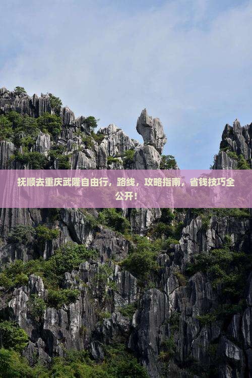 抚顺去重庆武隆自由行
