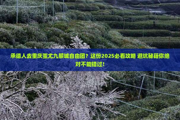 承德去重庆蚩尤九黎城自由团