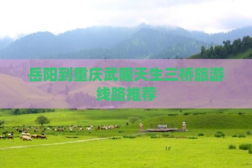 岳阳到重庆武隆天生三桥旅行社