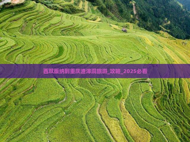 西双版纳到重庆渣滓洞旅游
