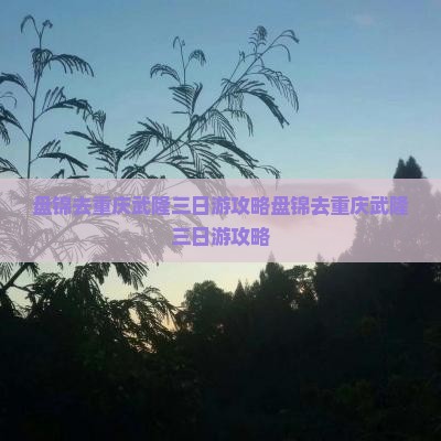 盘锦去重庆武隆三日游