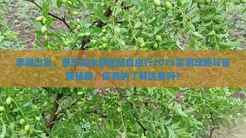 赤峰到重庆龙水峡地缝自由行
