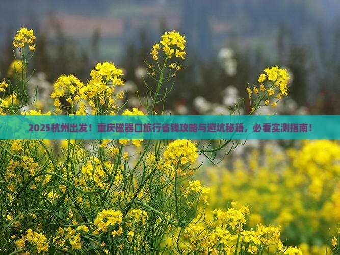 杭州去重庆磁器口旅行社