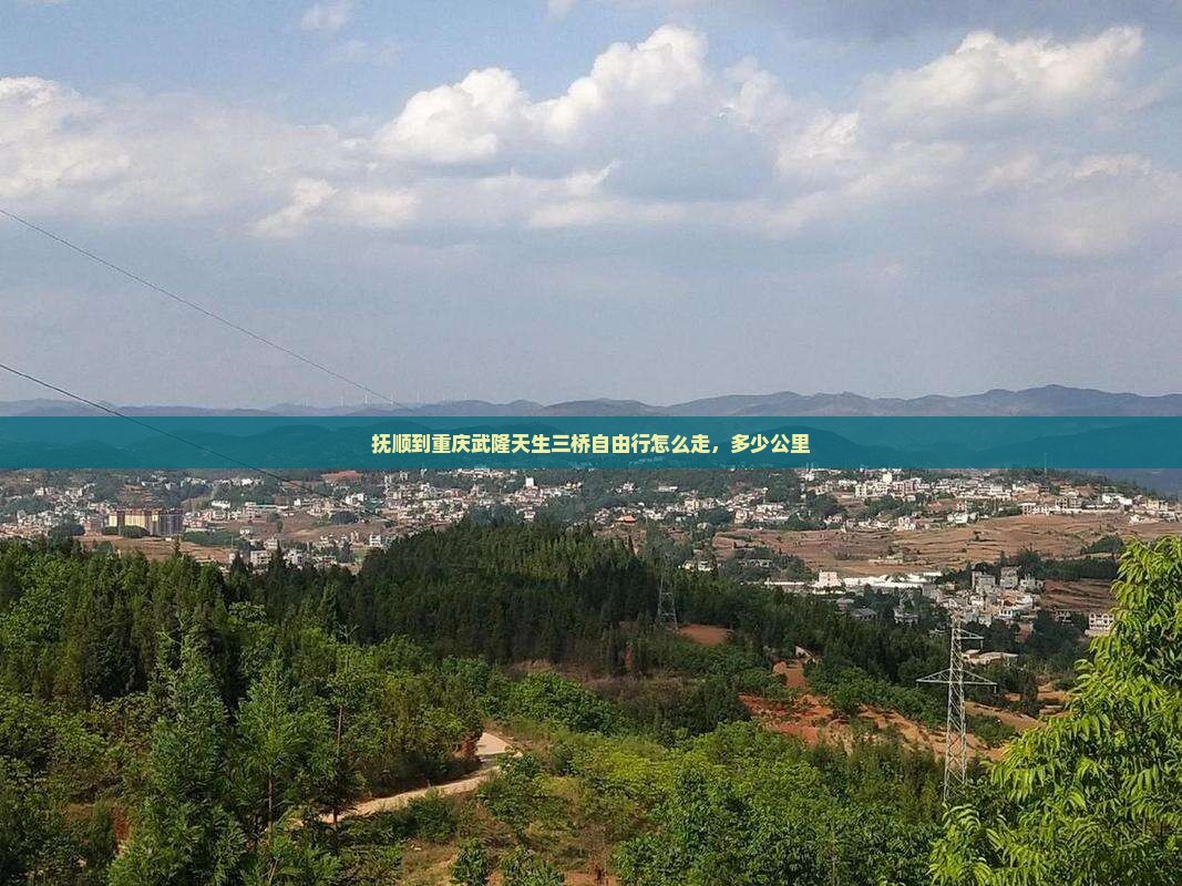 抚顺到重庆武隆天生三桥自由行