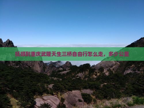 抚顺到重庆武隆天生三桥自由行