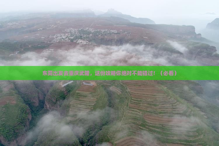 东莞去重庆武隆攻略
