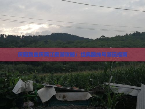庆阳到重庆两江夜游攻略：经典路线与游玩指南