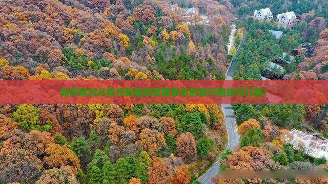 如何规划从焦作到重庆武隆景点的旅行路线与行程？