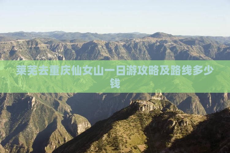 莱芜去重庆仙女山一日游攻略及路线多少钱