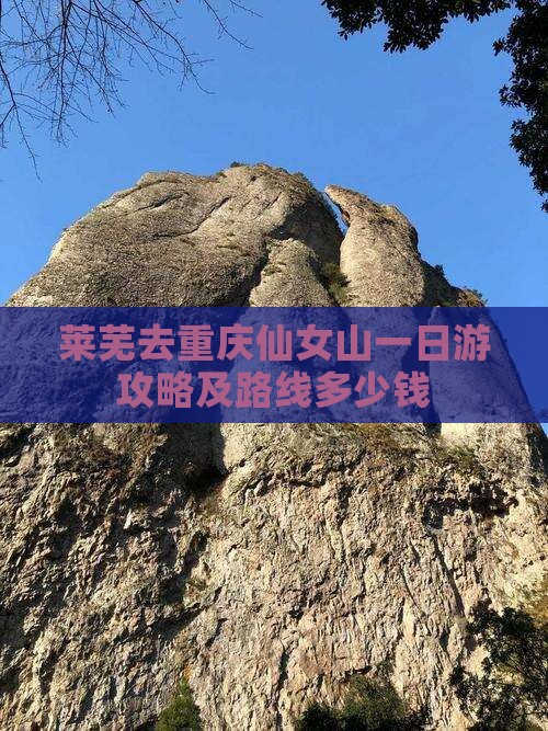 莱芜去重庆仙女山一日游攻略及路线多少钱