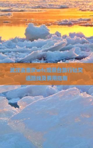 武汉去重庆wfc观景台旅行社交通路线及费用指南