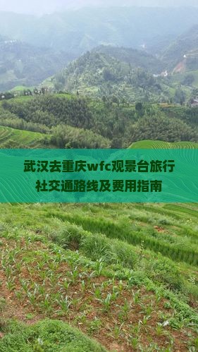武汉去重庆wfc观景台旅行社交通路线及费用指南