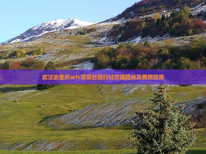 武汉去重庆wfc观景台旅行社交通路线及费用指南