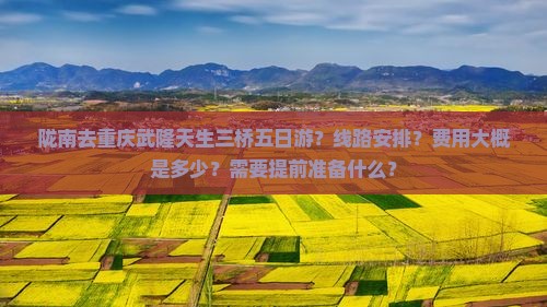 陇南去重庆武隆天生三桥五日游？线路安排？费用大概是多少？需要提前准备什么？