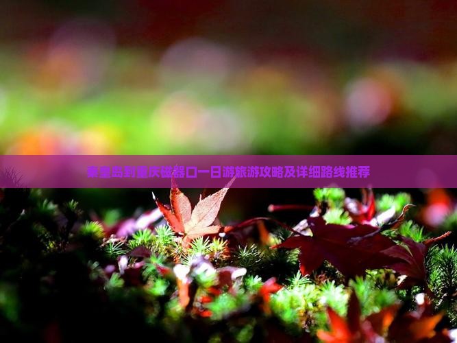 秦皇岛到重庆磁器口一日游旅游攻略及详细路线推荐