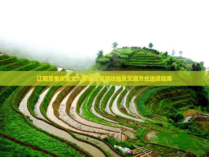 辽阳至重庆蚩尤九黎城自驾游攻略及交通方式选择指南