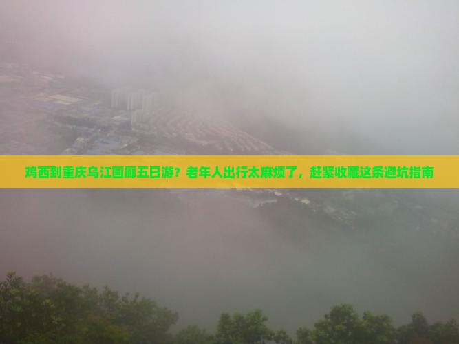 鸡西到重庆乌江画廊五日游？老年人出行太麻烦了，赶紧收藏这条避坑指南